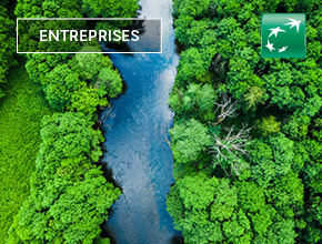 L'Evaluation RSE avec EcoVadis