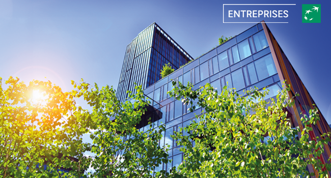 L'Evaluation RSE avec EcoVadis