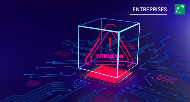 Fraude au paiement et cyber criminalité 